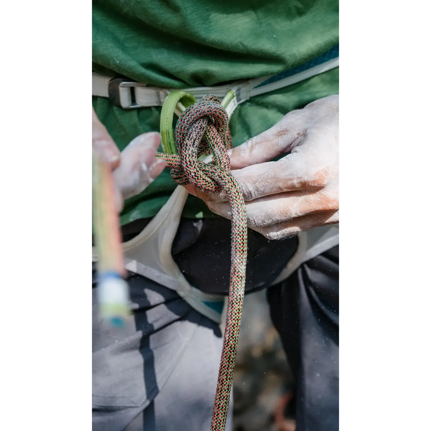 Edelrid Eagle Lite Protect Pro Dry 9.5mm