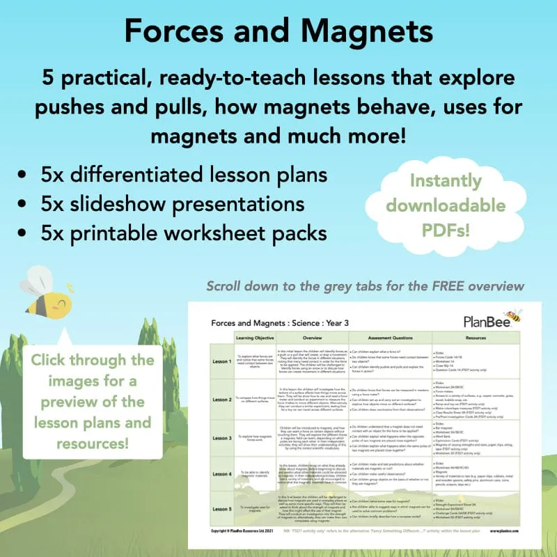 Forces and Magnets